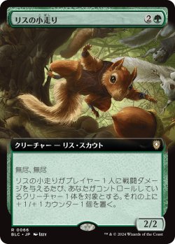 画像1: 【拡張枠】【日本語版】リスの小走り/Scurry of Squirrels