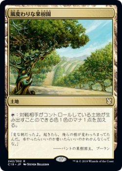 画像1: 【日本語版】風変わりな果樹園/Exotic Orchard