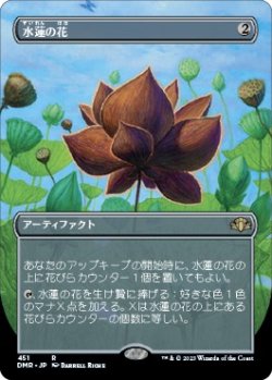 画像1: 【ボーダーレス】【日本語版】水蓮の花/Lotus Blossom