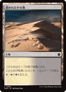 画像1: 【日本語版】磨かれたやせ地/Scoured Barrens