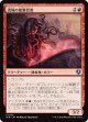 【日本語版】流城の密教信者/Stromkirk Occultist