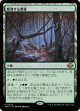 【Foil】【日本語版】変容する森林/Shifting Woodland