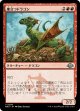 【日本語版】巣立つドラゴン/Fledgling Dragon