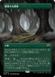 【ボーダーレス】【日本語版】変容する森林/Shifting Woodland