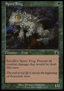 画像1: 『英語版』胞子カエル/Spore Frog