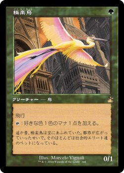 画像1: 【Foil】【旧枠】【日本語版】極楽鳥/Birds of Paradise