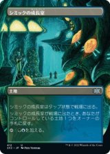 画像: 【ボーダーレス】【日本語版】シミックの成長室/Simic Growth Chamber