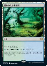 画像: 【日本語版】溢れかえる果樹園/Flooded Grove