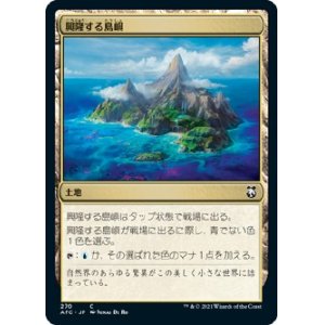 画像: 【日本語版】興隆する島嶼/Thriving Isle