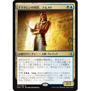 画像: 【日本語版】ナクタムンの侍臣、テムメト/Temmet, Vizier of Naktamun