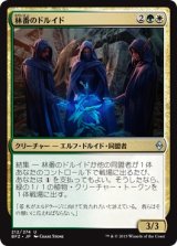 画像: 【日本語版】林番のドルイド/Grovetender Druids