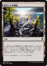 画像: 【日本語版】進化する未開地/Evolving Wilds