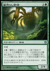 画像: 【日本語版】墓荒らし蜘蛛/Graverobber Spider