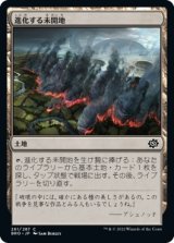 画像: 【日本語版】進化する未開地/Evolving Wilds