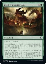 画像: 【日本語版】君はタラスクを見ている/You Look Upon the Tarrasque