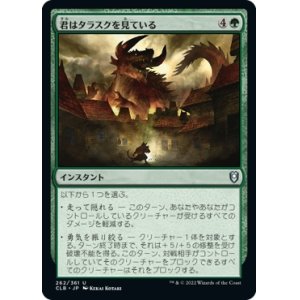 画像: 【日本語版】君はタラスクを見ている/You Look Upon the Tarrasque