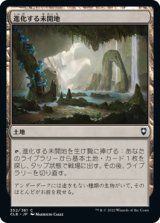 画像: 【日本語版】進化する未開地/Evolving Wilds