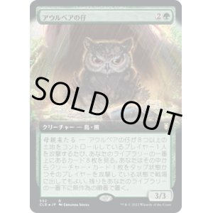 画像: 【拡張枠】【日本語版】アウルベアの仔 /Owlbear Cub