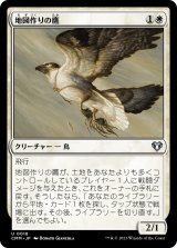 画像: 【日本語版】地図作りの鷹/Cartographer's Hawk