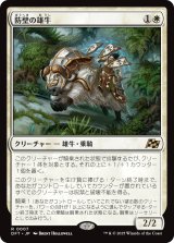 画像: 【日本語版】防壁の雄牛/Bulwark Ox