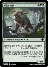 画像: 【日本語版】共生する獣/Symbiotic Beast