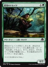 画像: 【日本語版】原初のドルイド/Primal Druid