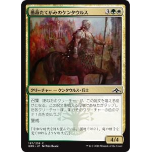 画像: 【日本語版】薔薇たてがみのケンタウルス/Rosemane Centaur