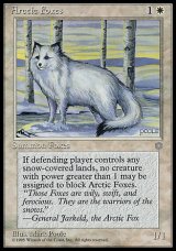 画像: 『英語版』Arctic Foxes