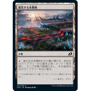 画像: 【日本語版】進化する未開地/Evolving Wilds