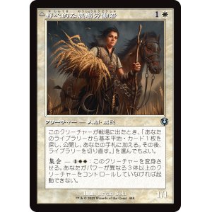 画像: 【旧枠】【日本語版】野心的な農場労働者/歴戦の聖戦士/Ambitious Farmhand/Seasoned Cathar