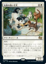 画像: 【日本語版】気前の良い子犬/Generous Pup