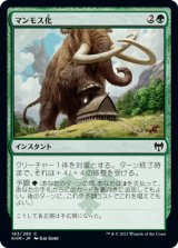 画像: 【日本語版】マンモス化/Mammoth Growth