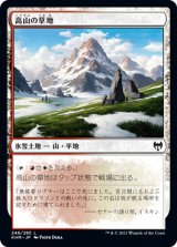 画像: 【日本語版】高山の草地/Alpine Meadow