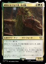 画像: 【日本語版】親切にもてなす者、木の鬚/Treebeard, Gracious Host