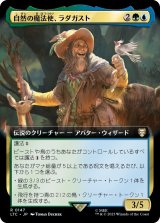 画像: 【拡張枠】【日本語版】自然の魔法使、ラダガスト/Radagast, Wizard of Wilds