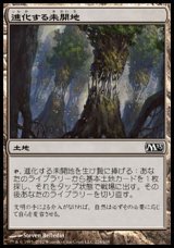 画像: 【日本語版】進化する未開地/Evolving Wilds