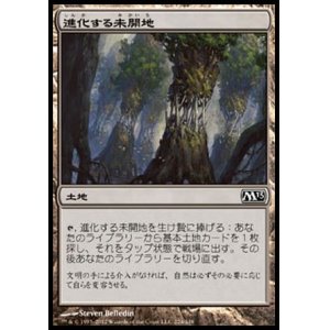 画像: 【日本語版】進化する未開地/Evolving Wilds