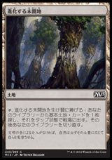 画像: 【日本語版】進化する未開地/Evolving Wilds