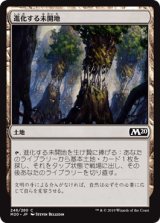 画像: 【日本語版】進化する未開地/Evolving Wilds