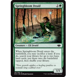 画像: 『英語版』春花のドルイド/Springbloom Druid