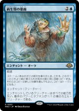 画像: 【日本語版】両生類の豪雨/Amphibian Downpour