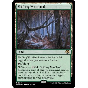 画像: 『英語版』変容する森林/Shifting Woodland