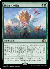 画像: 【Foil】【日本語版】枝分かれの進化/Branching Evolution