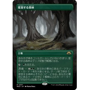 画像: 【ボーダーレス】【日本語版】変容する森林/Shifting Woodland