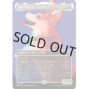 画像: 【Foil】【ボーダーレス】【日本語版】溌剌の牧羊犬、フィリア/Phelia, Exuberant Shepherd