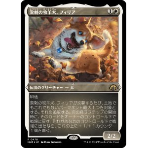 画像: 【エッチングFoil】【日本語版】溌剌の牧羊犬、フィリア/Phelia, Exuberant Shepherd