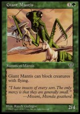 画像: 『英語版』大カマキリ/Giant Mantis