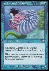 画像: 【日本語版】オウムガイ/Chambered Nautilus