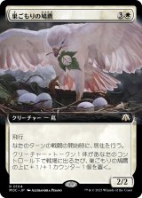 画像: 【拡張枠】【日本語版】巣ごもりの鳩鷹/Nesting Dovehawk