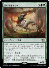 画像: 【Foil】【日本語版】古の放漫トカゲ/Ancient Imperiosaur